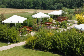 KM Czajowice, Michałowice